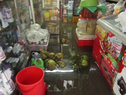 saigonngaplut23.jpg