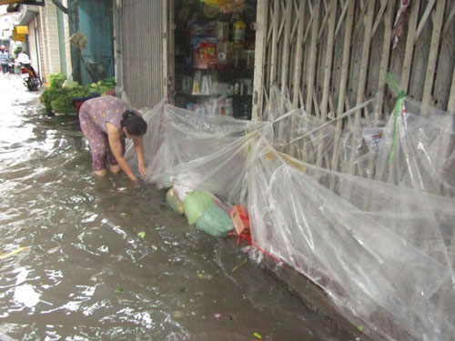 saigonngaplut25.jpg