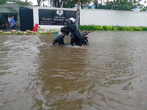 saigonngaplut8.jpg