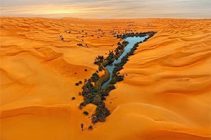 samacSAHARA1.jpg