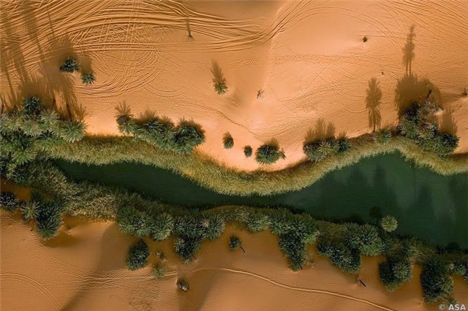 samacsahara318082015094354.jpg