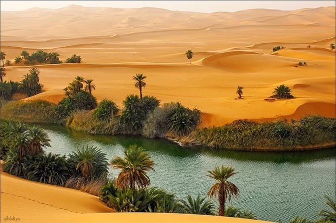 samacsahara418082015094355.jpg