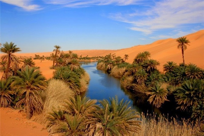 samacsahara518082015094355.jpg