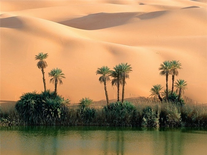 samacsahara718082015094356.jpg