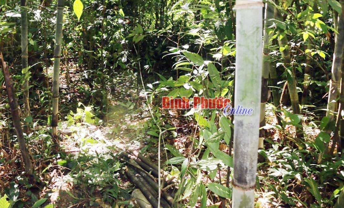 Điều tra vụ nam thanh niên tử vong khi đi săn Điều tra vụ nam thanh niên tử vong khi đi săn