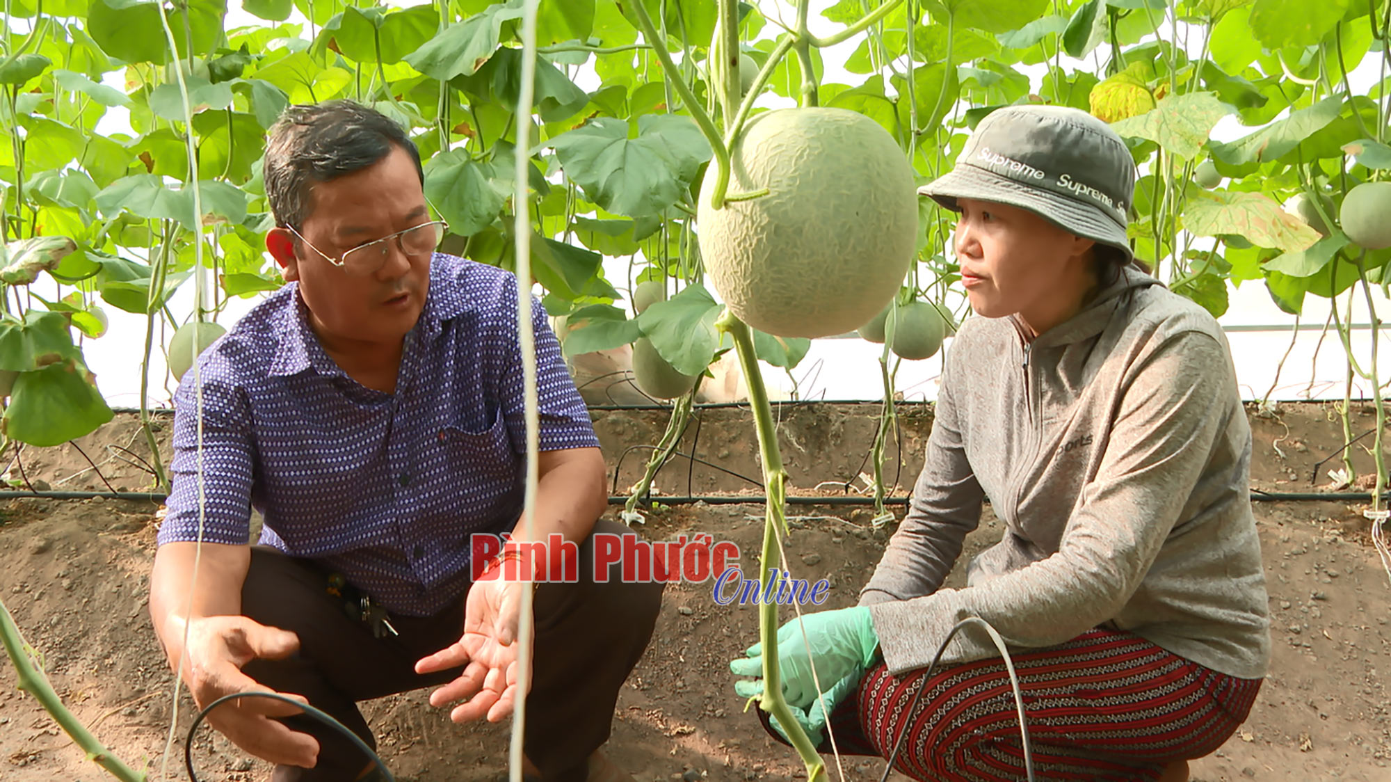 Sẵn sàng nông sản phục vụ tết