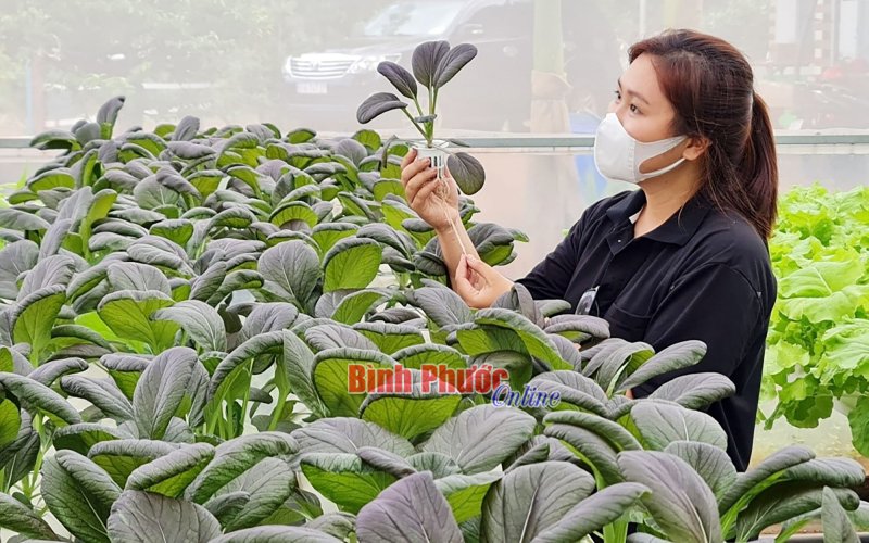 Sản xuất 'xanh'