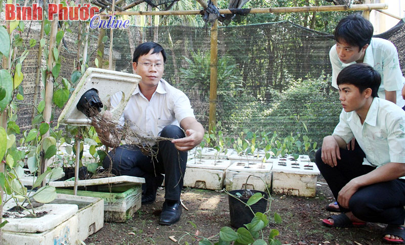 sangtao.jpg