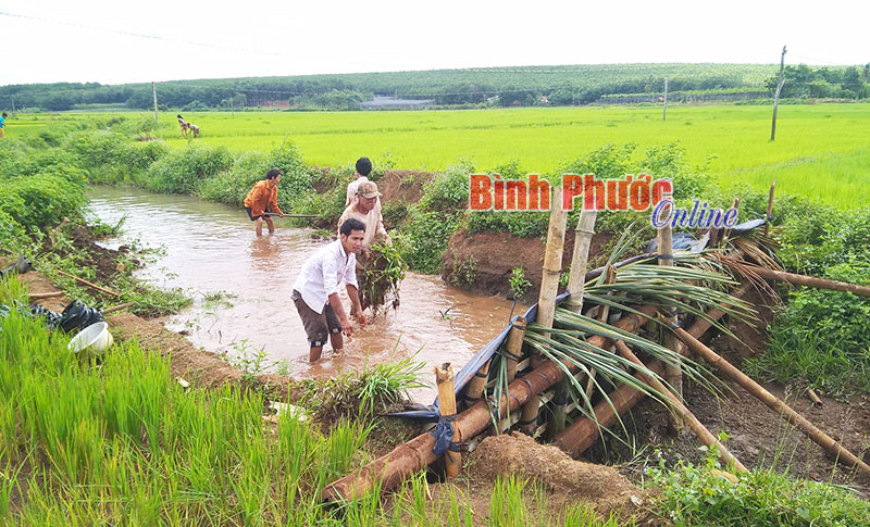 Sáng tạo đưa nước vào ruộng ở Thiện Hưng