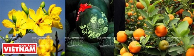 sanvat530012017095600.jpg