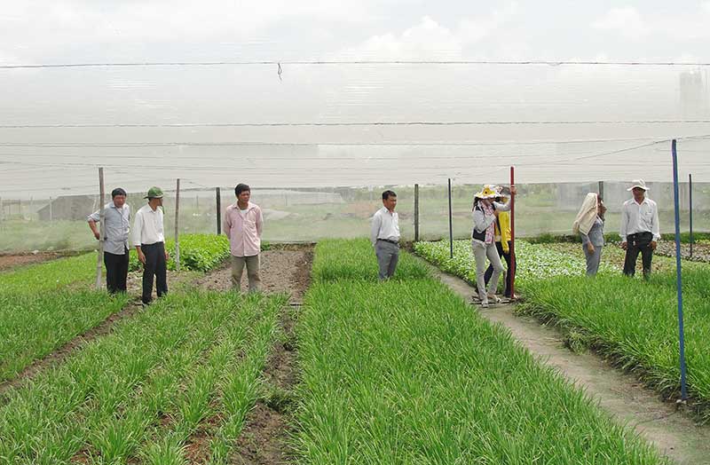 Gắn kết nhà nông với doanh nghiệp Gắn kết nhà nông với doanh nghiệp