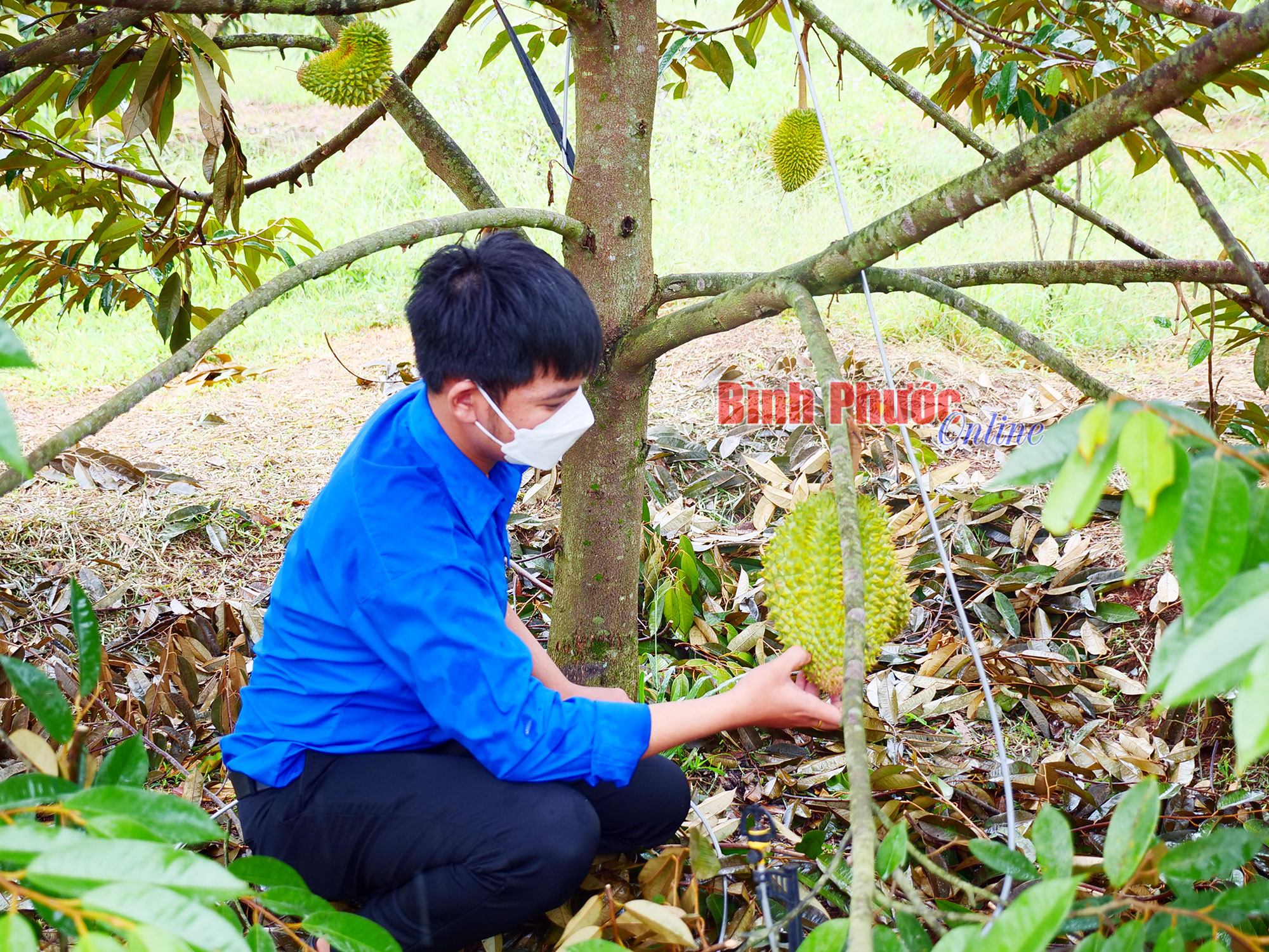 sau_rieng_2_11021522062022.jpg