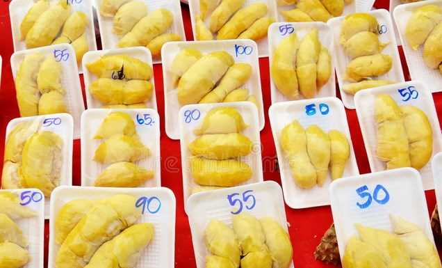 Thái Lan lên kế hoạch gửi trái sầu riêng lên không gian Thái Lan lên kế hoạch gửi trái sầu riêng lên không gian