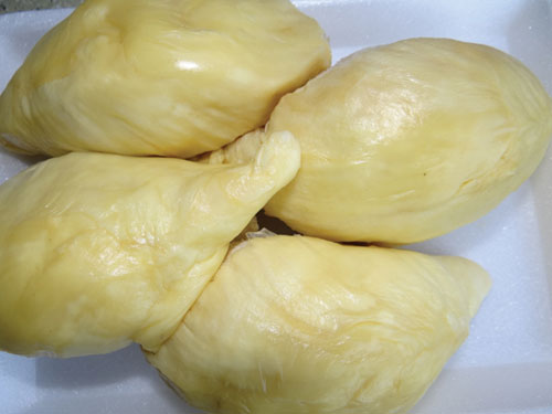 saurieng2.jpg