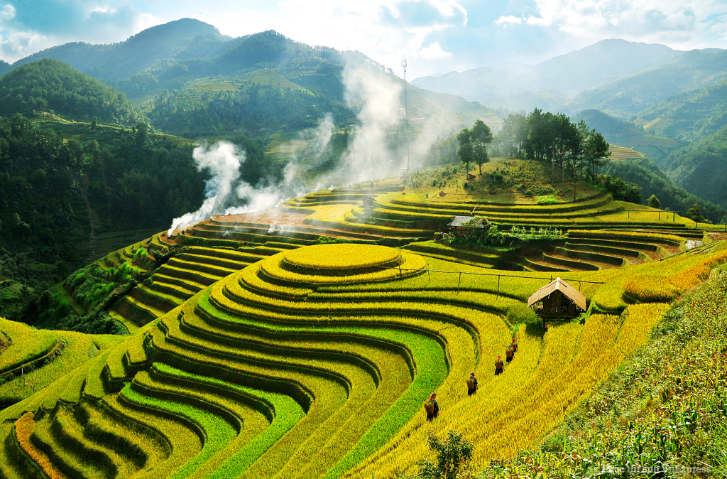 Tuần văn hóa ruộng bậc thang Mù Cang Chải - Mùa vàng trên non