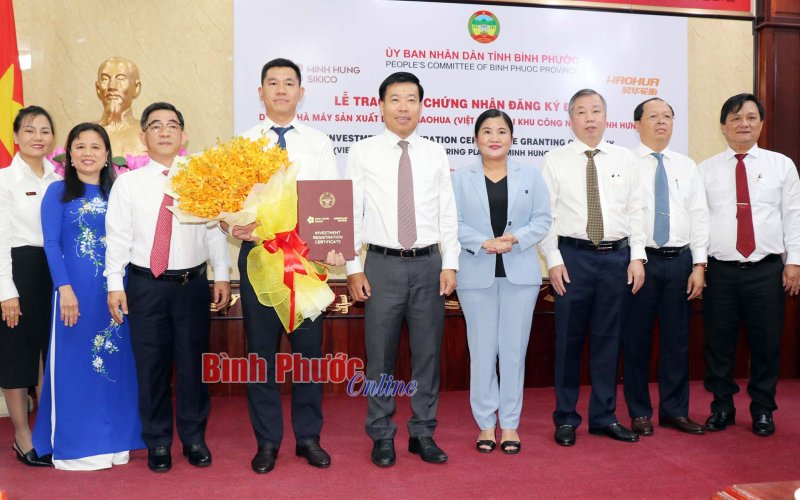 Sếu đầu đàn về làm tổ cùng thịnh vượng