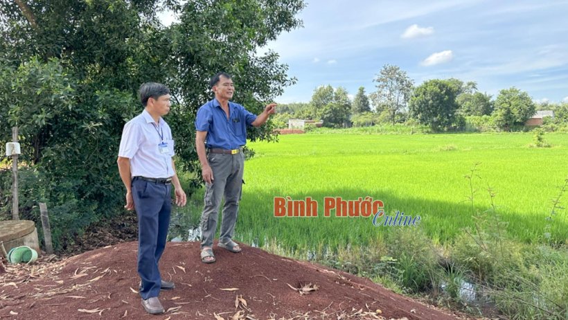Siết chặt chuyển đổi đất trồng lúa Siết chặt chuyển đổi đất trồng lúa