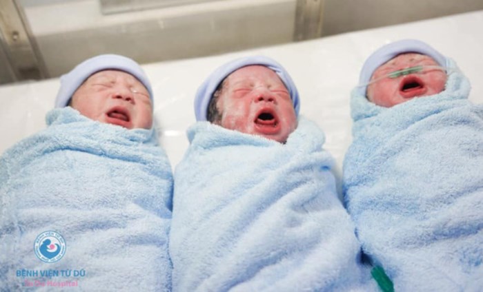Ca sinh 3 tự nhiên hiếm gặp, hai bé sinh trong bọc điều Ca sinh 3 tự nhiên hiếm gặp, hai bé sinh trong bọc điều
