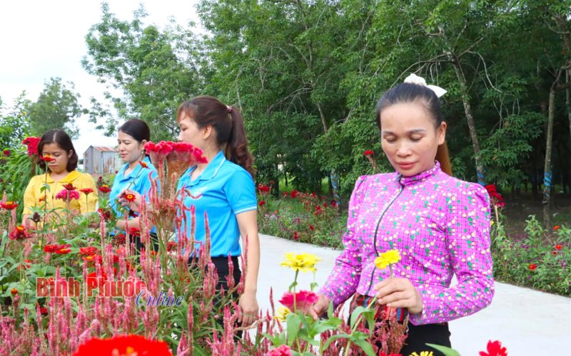Sinh động sắc màu cuộc sống