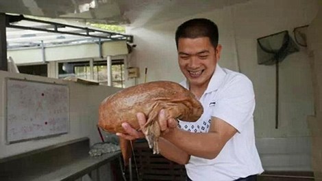 Bắt được kỳ nhông khổng lồ 170 triệu năm vẫn còn sống?