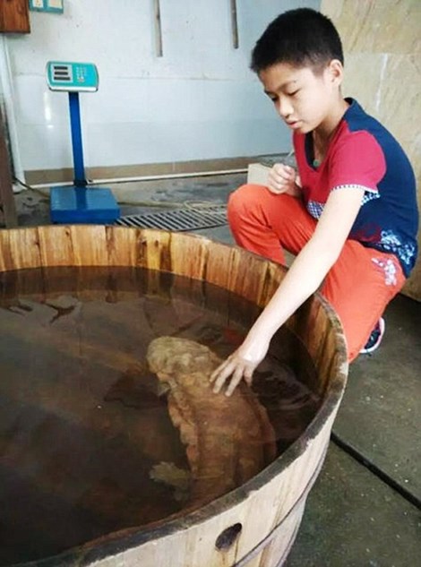 sinhvatla5.jpg