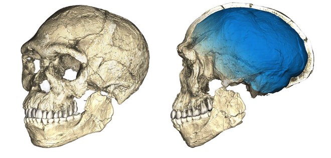 skull209062017020642.jpg