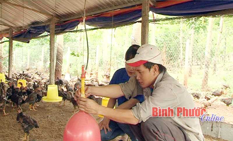Nguyễn Thanh Khang quyết chí làm giàu Nguyễn Thanh Khang quyết chí làm giàu
