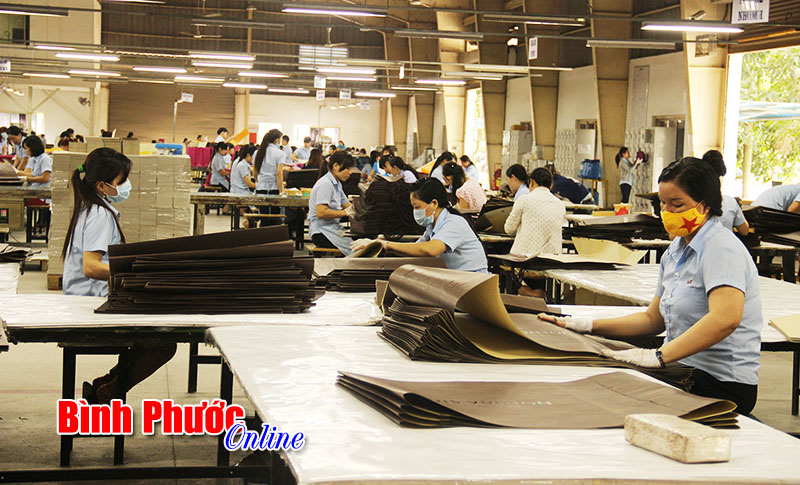 VNACCS/VCIS - Hướng đến lợi ích doanh nghiệp