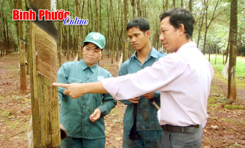 sobaoin23497.jpg
