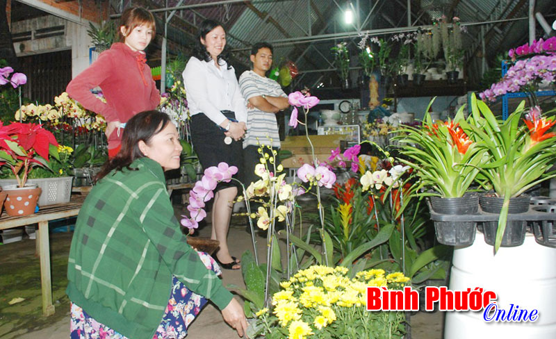 Sẽ nhân rộng mô hình cải tạo vườn điều tại Bình Phước