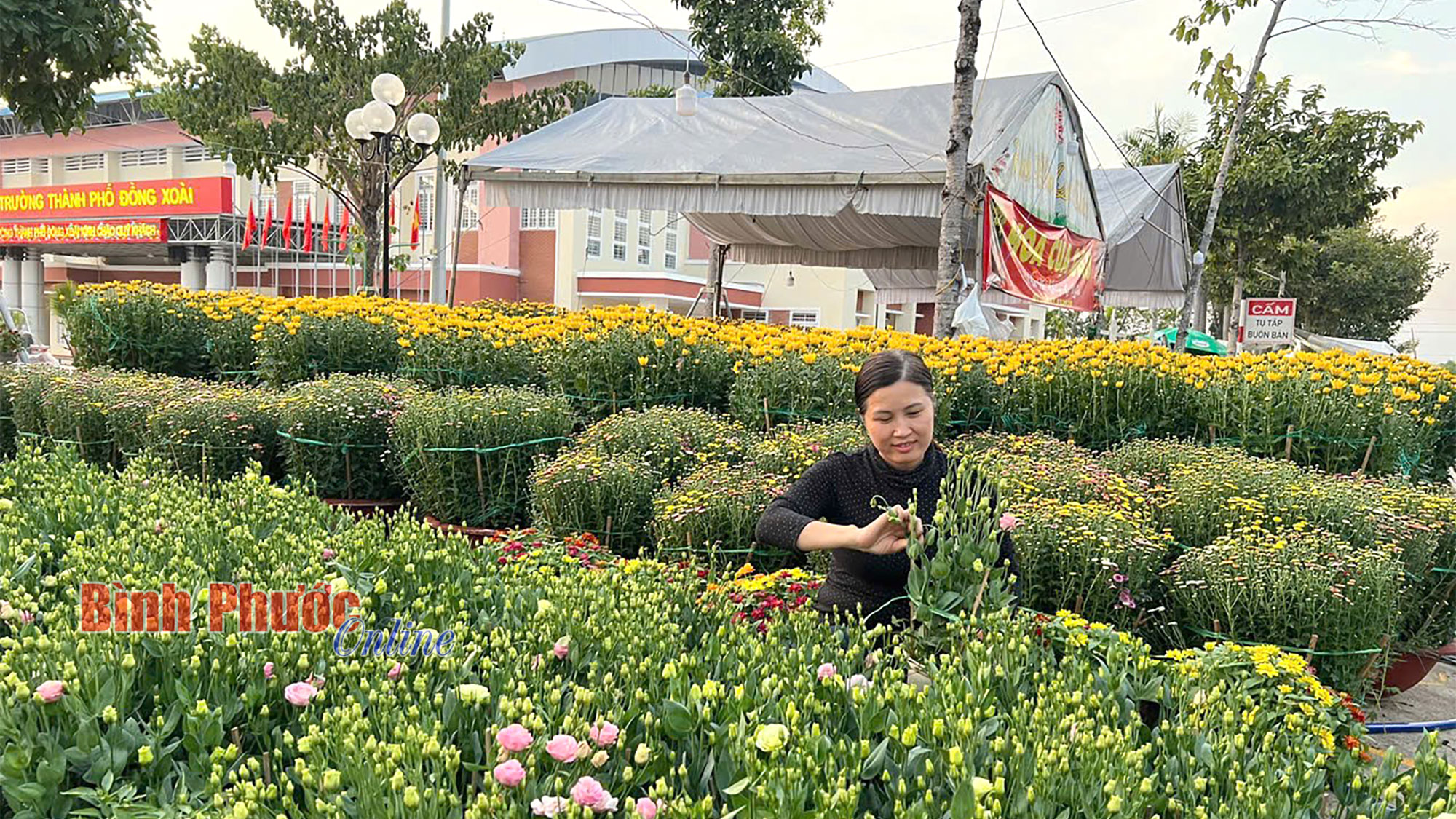 Sôi động chợ hoa xuân