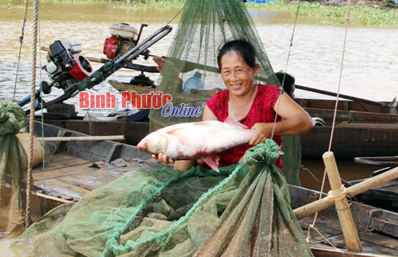 songnuoc1.jpg