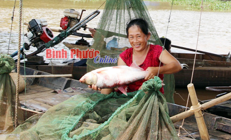 “Nụ cười” sông nước