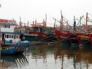 Đà Nẵng sơ tán 55.000 dân trước khi bão số 11 vào Đà Nẵng sơ tán 55.000 dân trước khi bão số 11 vào