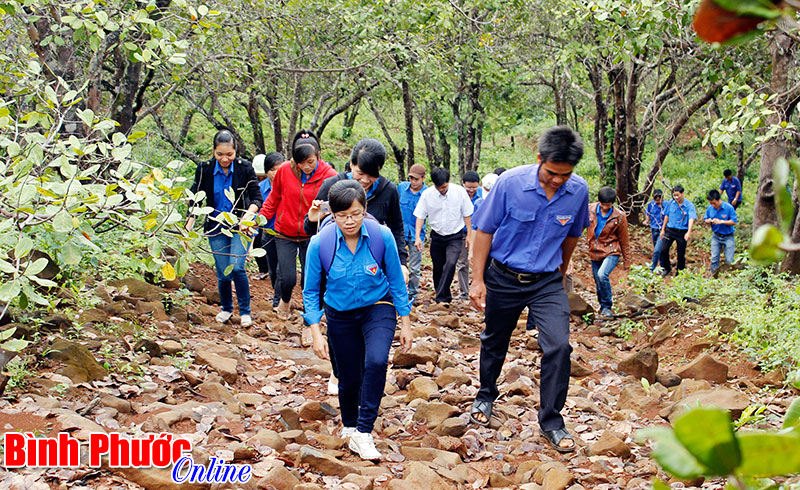 Sở Văn hóa - Thể thao và Du lịch phản hồi thông tin trên Báo Bình Phước Sở Văn hóa - Thể thao và Du lịch phản hồi thông tin trên Báo Bình Phước
