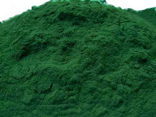 spirulinaplatetispulver124042017024400.jpg