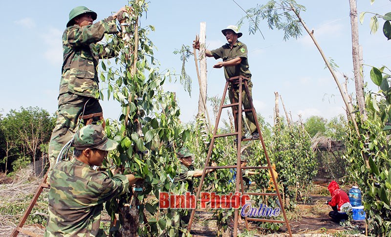 Sẵn sàng ứng phó các tình huống thiên tai