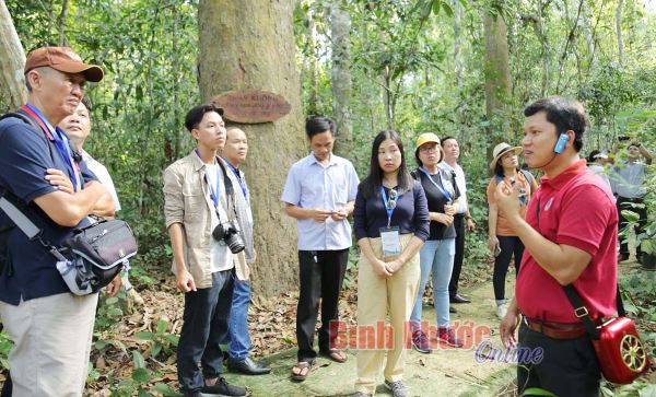 Kích cầu du lịch vùng Đông Nam bộ Kích cầu du lịch vùng Đông Nam bộ