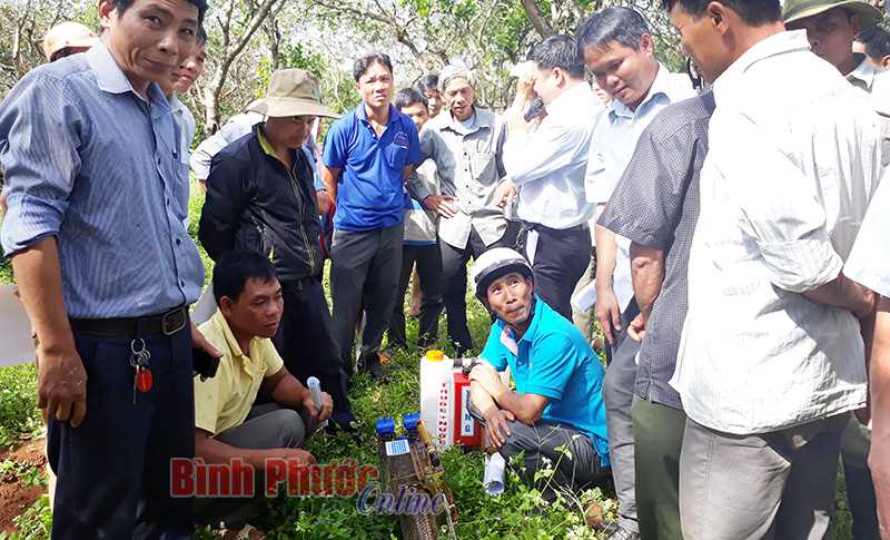 Đăk Nhau ra quân diệt bọ xít muỗi với máy phun sương Đăk Nhau ra quân diệt bọ xít muỗi với máy phun sương