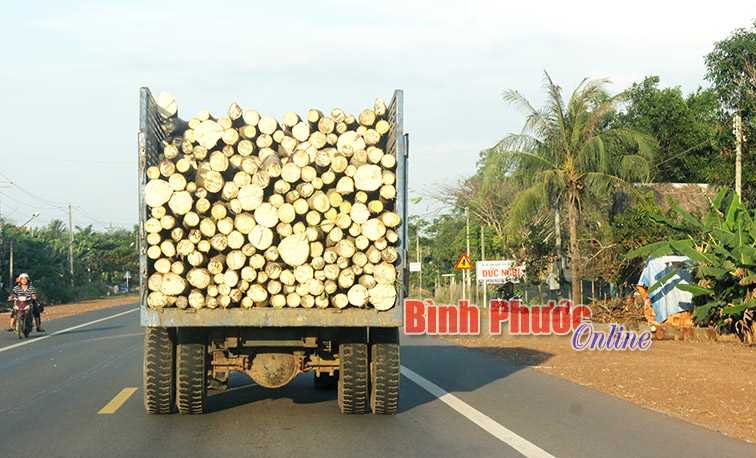 Xe không biển số ì ạch trên quốc lộ 14 Xe không biển số ì ạch trên quốc lộ 14