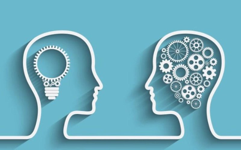 Sự thăng hạng trí tuệ Sự thăng hạng trí tuệ