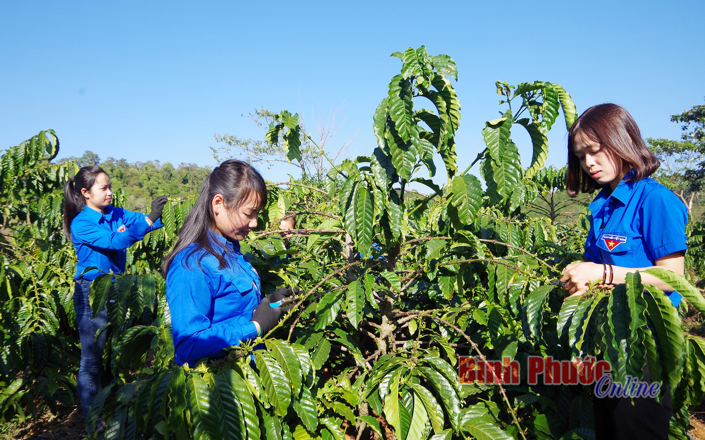 Sức bật ở vùng biên