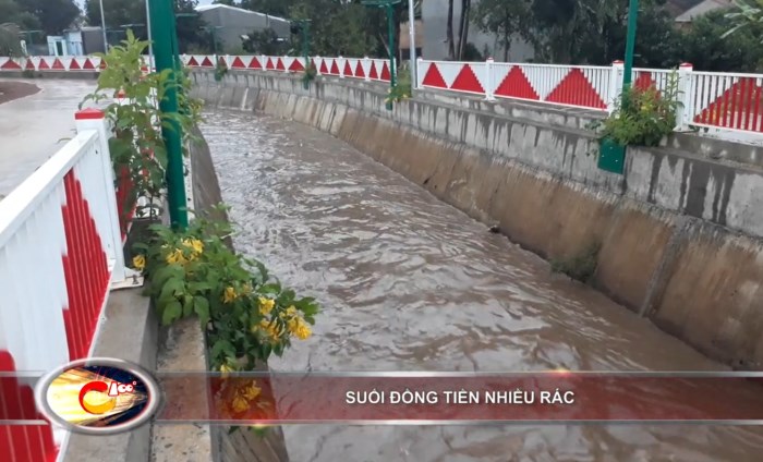Bản tin 100 độ ngày 7-9: Nhiều rác thải trên suối Đồng Tiền