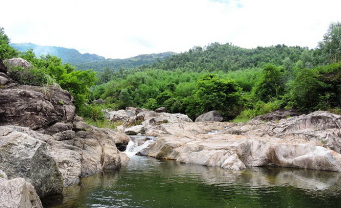 suoimohoangso1.jpg