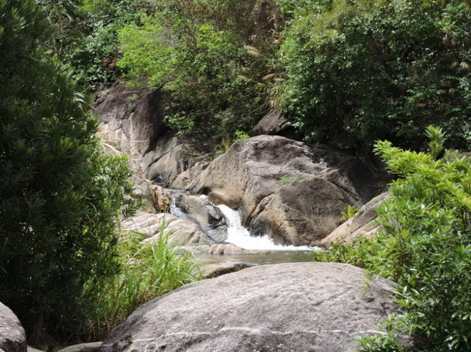 suoimohoangso2.jpg