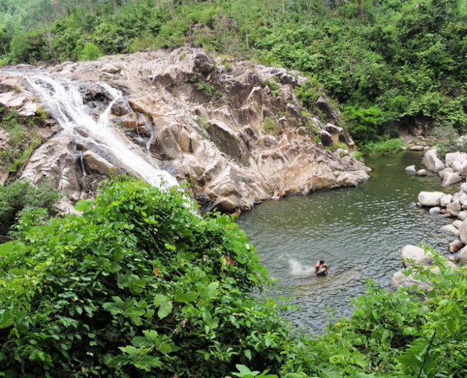 suoimohoangso3.jpg