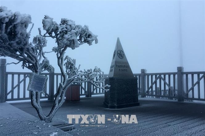Sương muối phủ trắng đỉnh Fansipan