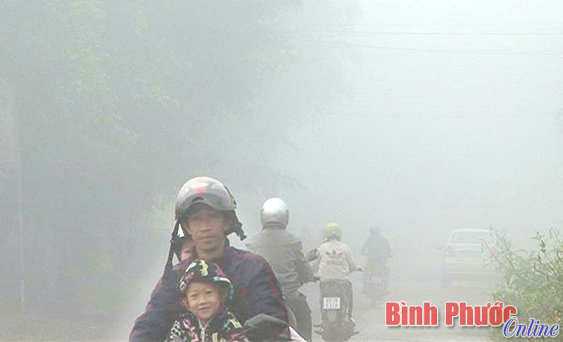 suongmu.jpg