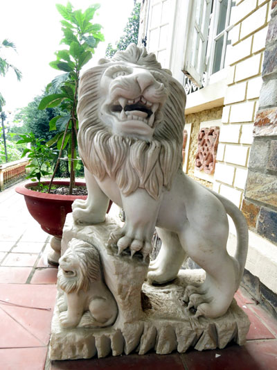 Dọn dẹp sư tử lạ Dọn dẹp sư tử lạ