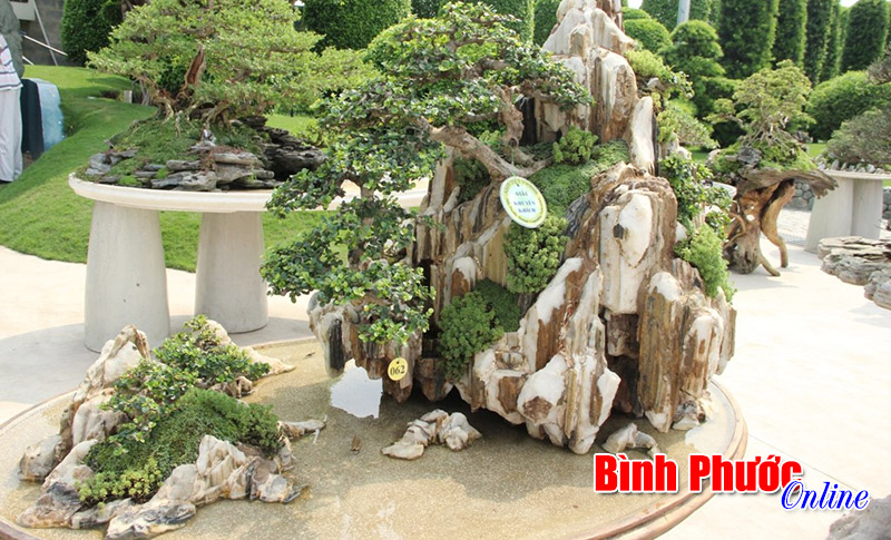 Đại hội hội sinh vật cảnh xã Long Tân